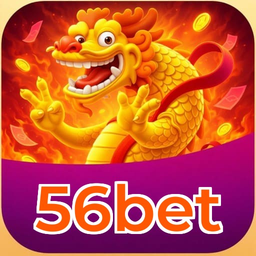 Termos e condições